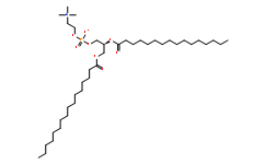 2,3-Dipalmitoyl-sn-glycero-1-phosphocholine