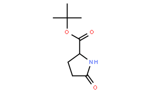 L-焦谷氨酸叔丁酯