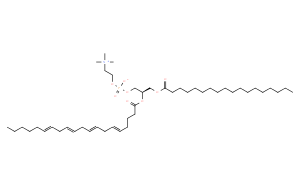 L-α-磷脂酰胆碱-β-花生四烯酰-γ-硬脂酰