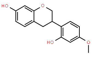 维斯体素