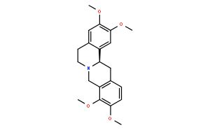 右旋延胡索乙素;右旋四氫巴馬汀