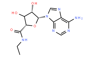 5’-Ethylcarboxamido Adenosine