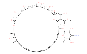 Amphotericin B Methyl Ester 90%