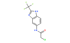 2-Chloro-N-(2-trifluoromethyl-1H-benzoimidazol-5-yl)-acetamide