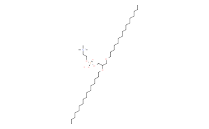 1,2-O-Dihexadecyl-sn-glycero-3-phosphocholine