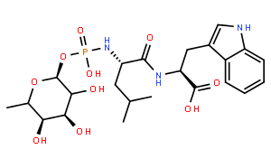 Phosphoramidon