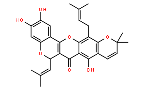 异叶波罗蜜环黄酮素