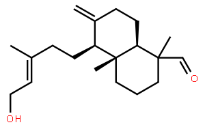 Agatholal