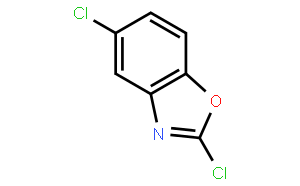 2,5-二氯苯并恶唑