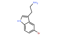 3-(2-Aminoethyl)-5-bromoindole