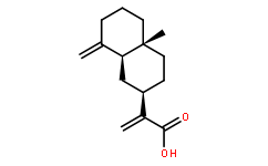 BETA-木香酸