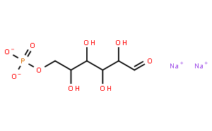 葡萄糖-6-磷酸 二钠(G-6-P)G6P