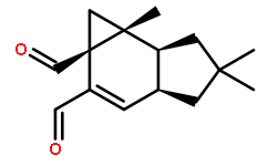 Isovelleral