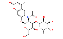 4-甲基香豆素基-2-乙酰氨基-2-脱氧-3-氧-（α-L-吡喃岩藻糖基）-β-D-吡喃葡萄糖苷