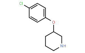 3-(4-Chlorophenoxy)piperidine