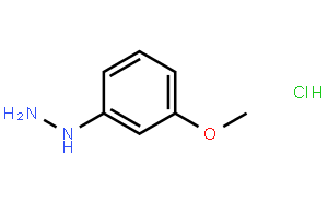 (3-Methoxyphenyl)hydrazine Hydrochloride