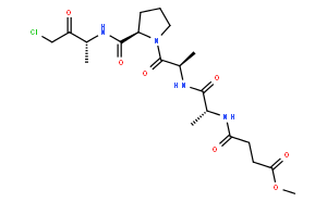 Elastase