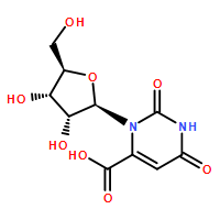 Orotidine