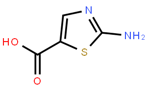 2-氨基噻唑-5-甲酸