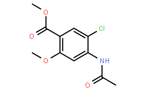 4-乙酰氨基-5-氯-2-甲氧基苯甲酸酯