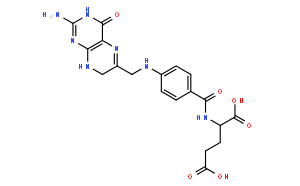 Dihydro Folic Acid