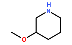 3-METHOXYPIPERIDINE