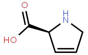 3,4-Dehydro-L-proline