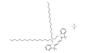 1,1`-双十八烷基-3,3,3`,3`-四甲基吲哚羰花青高氯酸盐