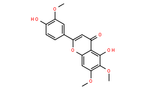 甲基条叶蓟素; 泽兰黄素