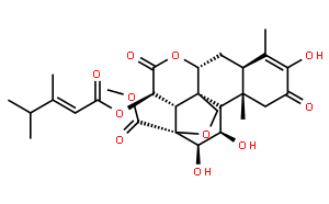 鴉膽停；鴉膽亭