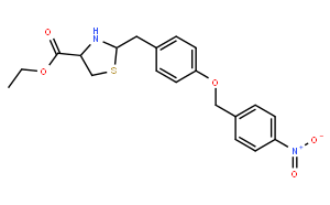 SN 6