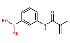 [3-[(2-甲基-1-氧代-2-丙烯基)氨基]苯基]硼酸均聚物