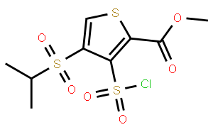 Methyl 3-chlorosulfonyl-4-(isopropylsulfonyl)thiophene-2-carboxylate