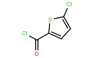 5-氯-2-酰氯噻吩