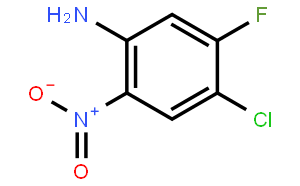 (4-Chloro-5-fluoro-2-nitrophenyl)amine