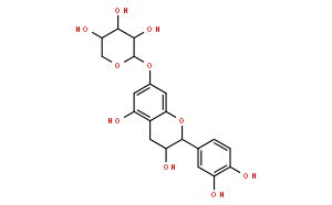 7-木糖苷儿茶酚