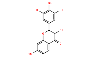 刺槐亭