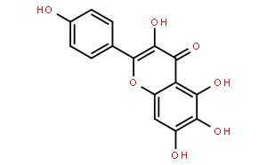 6-羟基山奈酚