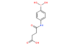 N-[4-Benzeneboronic]succinamicacid