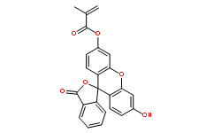 荧光素O-甲基丙烯酸酯