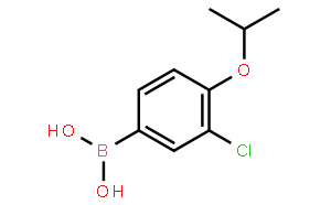 3-Chloro-4-isopropoxyphenylboronic acid