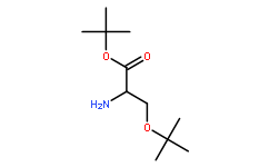 H-Ser(tbu)-OtBu