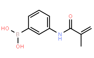 3-甲基丙烯酰胺基苯硼酸
