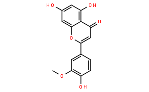 金圣草黃素；柯伊利素