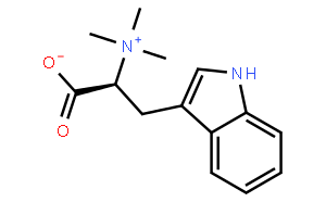 刺桐堿