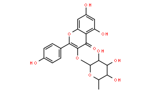 山奈酚-3-O-鼠李糖苷；阿福豆苷
