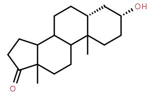 表雄酮