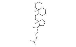 5α-胆甾烷