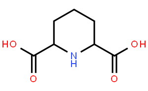 2,6-piperidinedicarboxylic acid