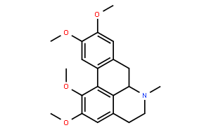 脱氢海罂粟碱